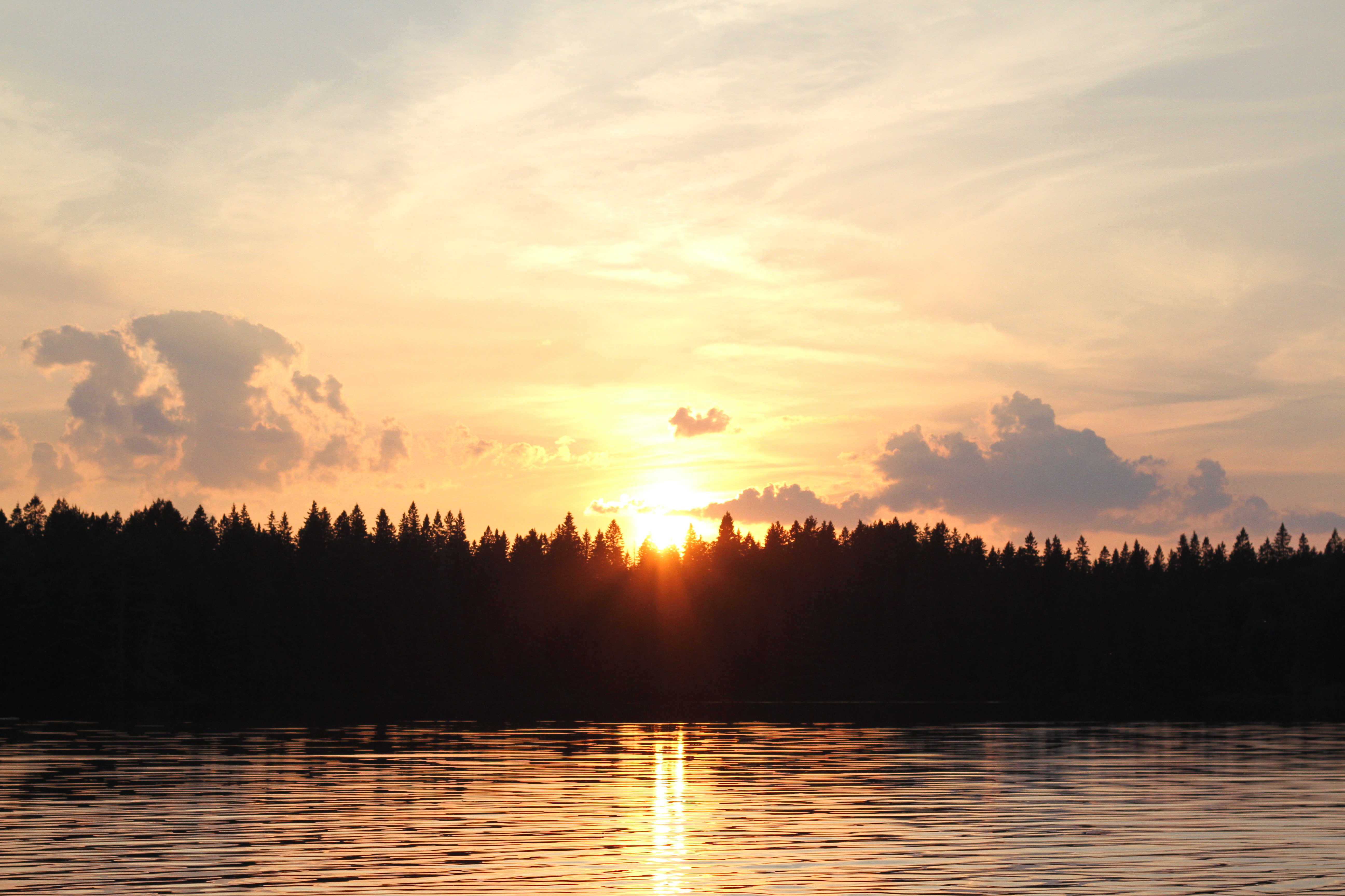 Sun over lake surrounded by forest