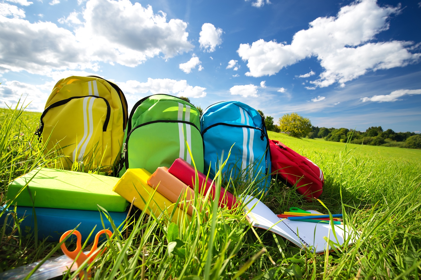 backpacks on a green field