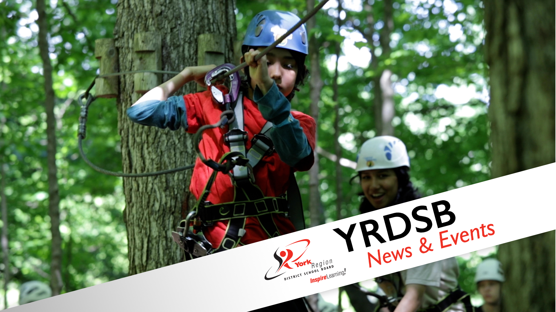Student strapped onto wires, tree top trekking in the trees.