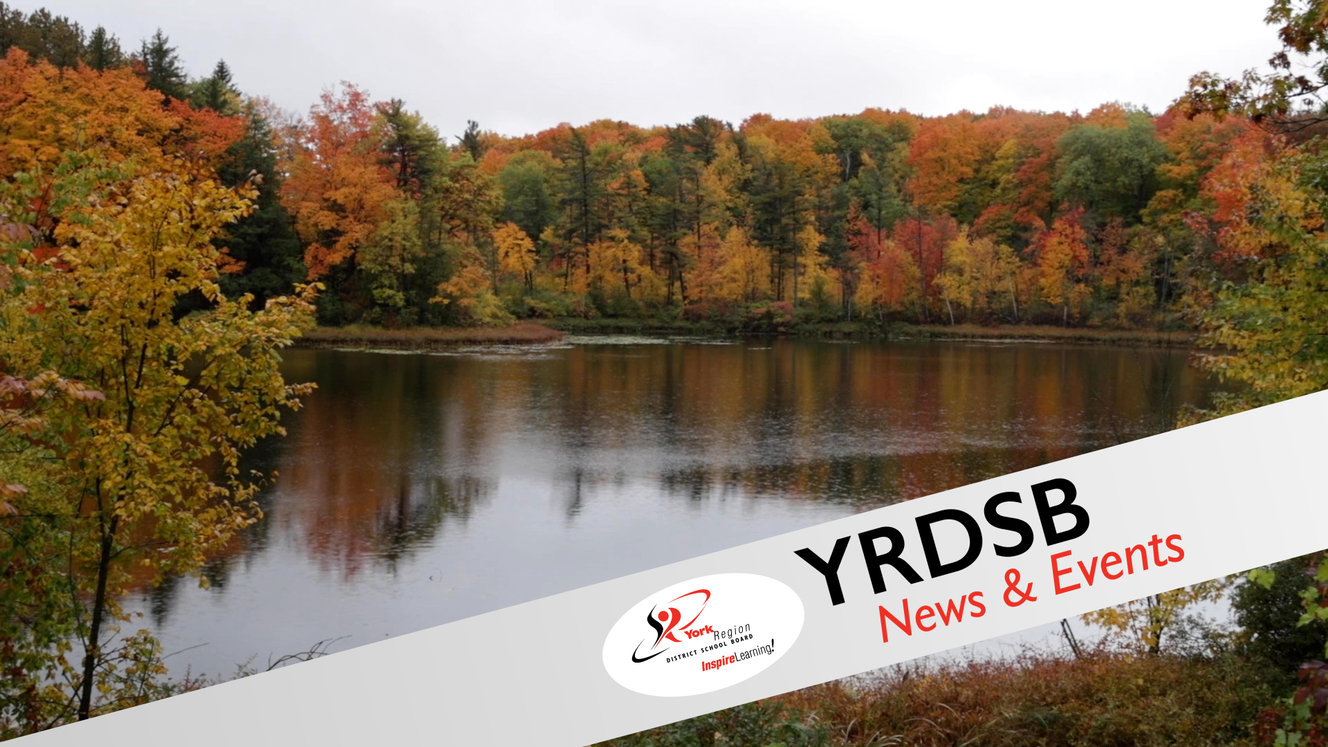 Lake surrounded by trees in fall colours