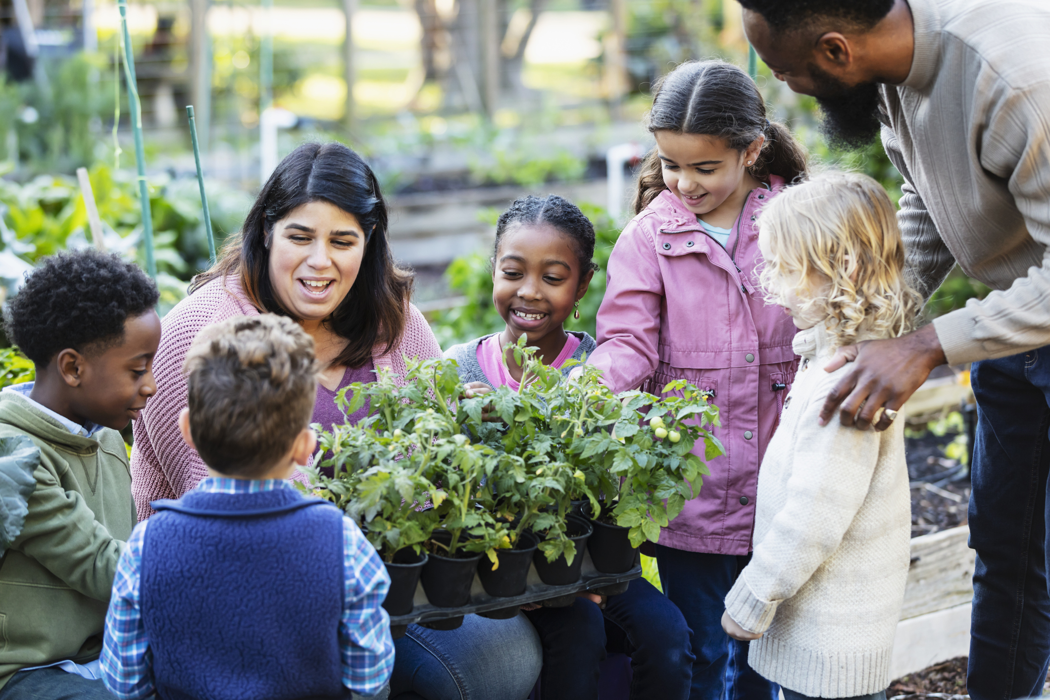 Group of students with a teacher interacting with a plant