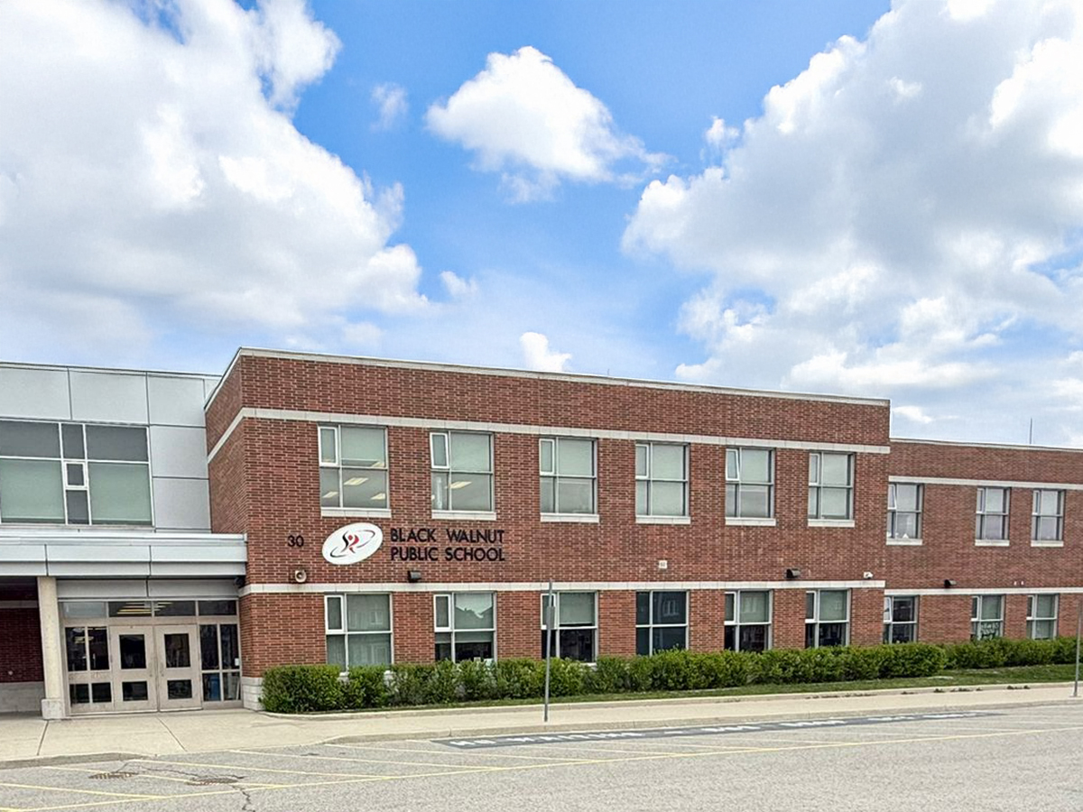 Black Walnut Public School photo
