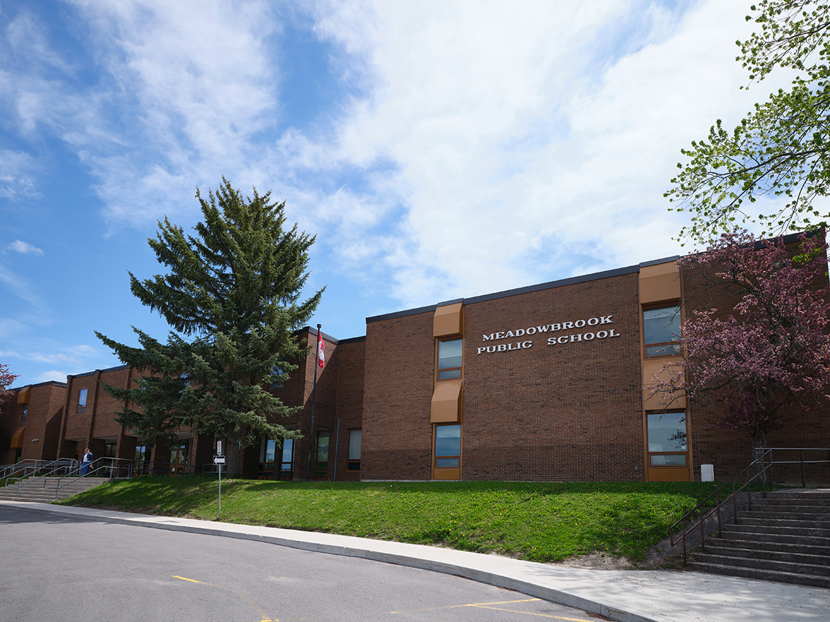 Meadowbrook Public School photo