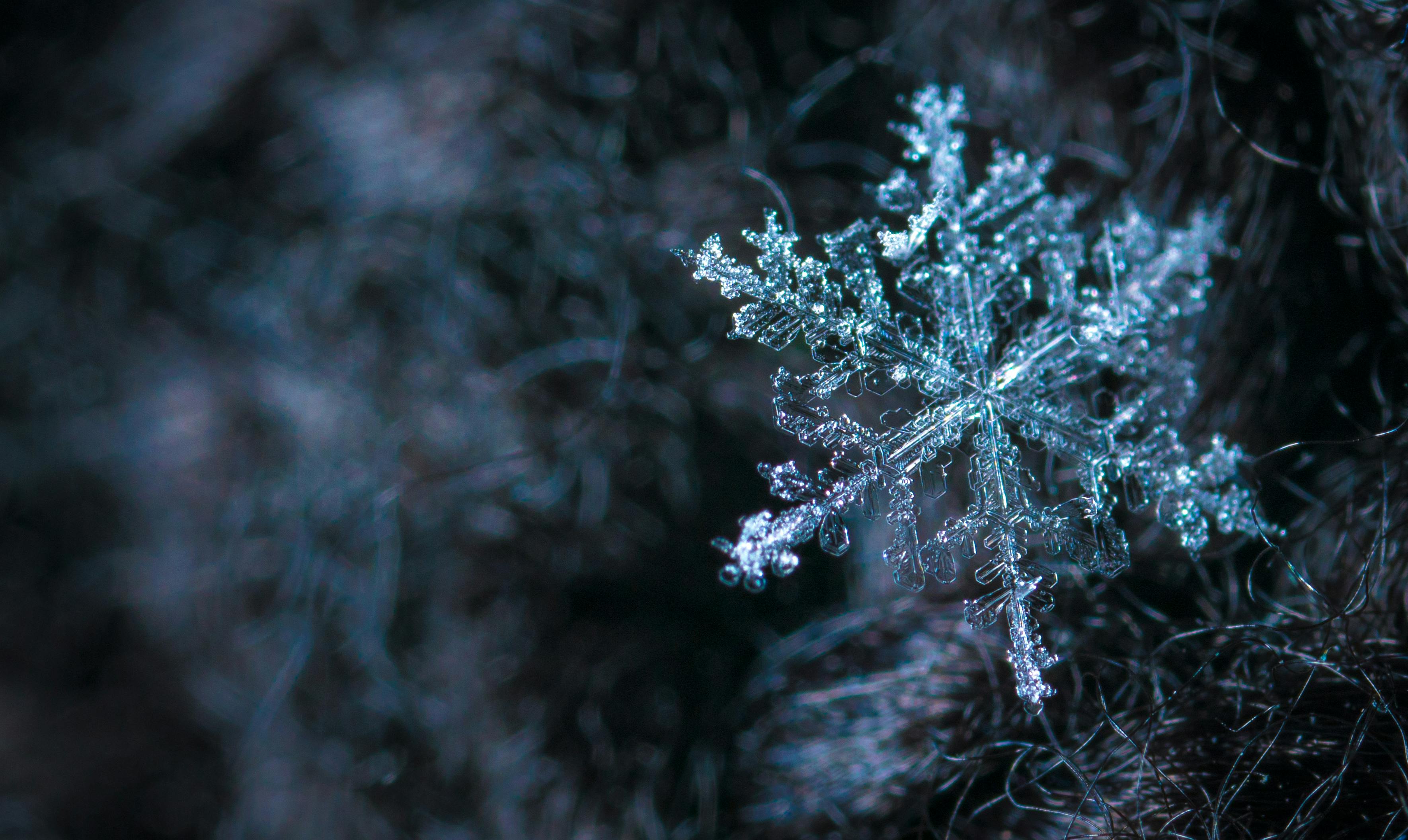 Image of a snow flake against a monotone background with a blurred background.