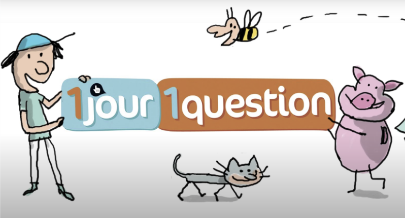 video called Comment protège-t-on la vie dans les océans ?