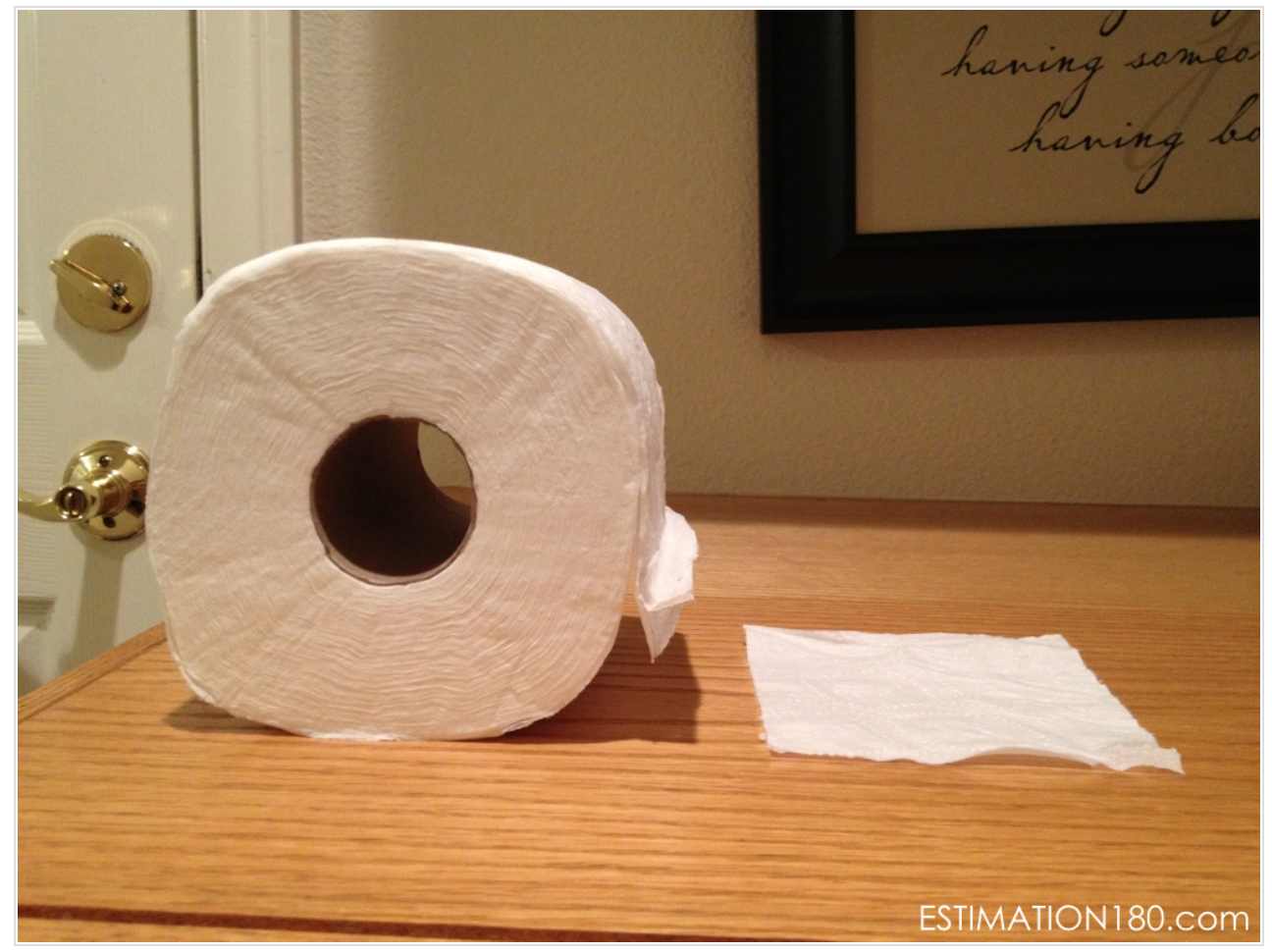 Toilet paper roll and single sheet