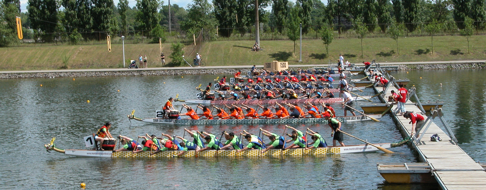 Dragon boat racers in the race ready position. Courtesy of Arlene Chan.