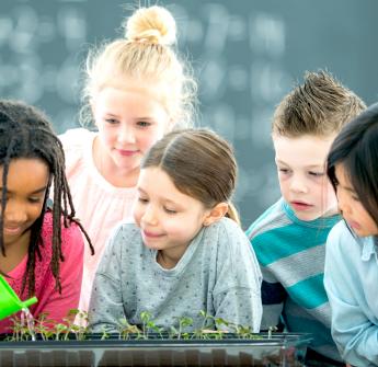 Students looking at plants