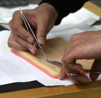 student sutures model