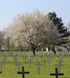 Crosses at Neuville-St.-Vaast