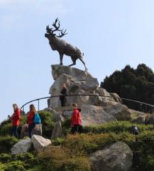 Newfoundland Regiment War Memorial at Beaumont-Hamel