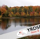 Lake surrounded by trees in fall colours